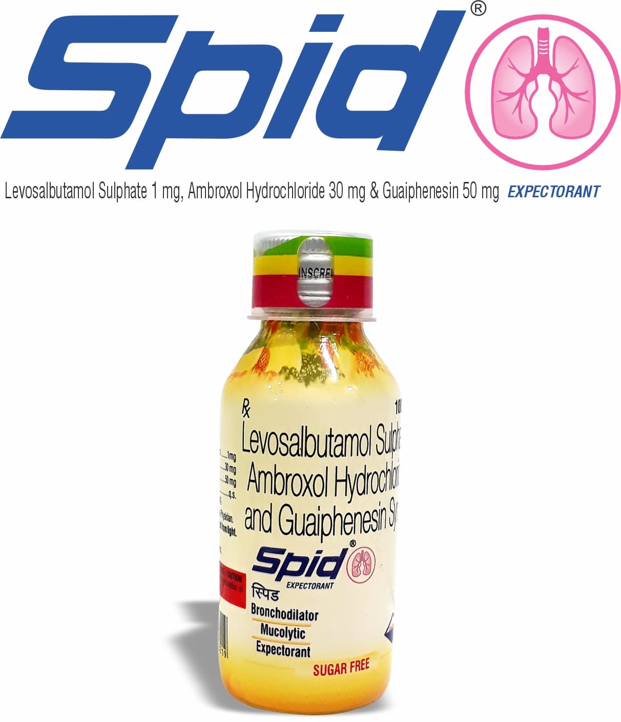 SPID EXPECTORANT 100 ML Syrup